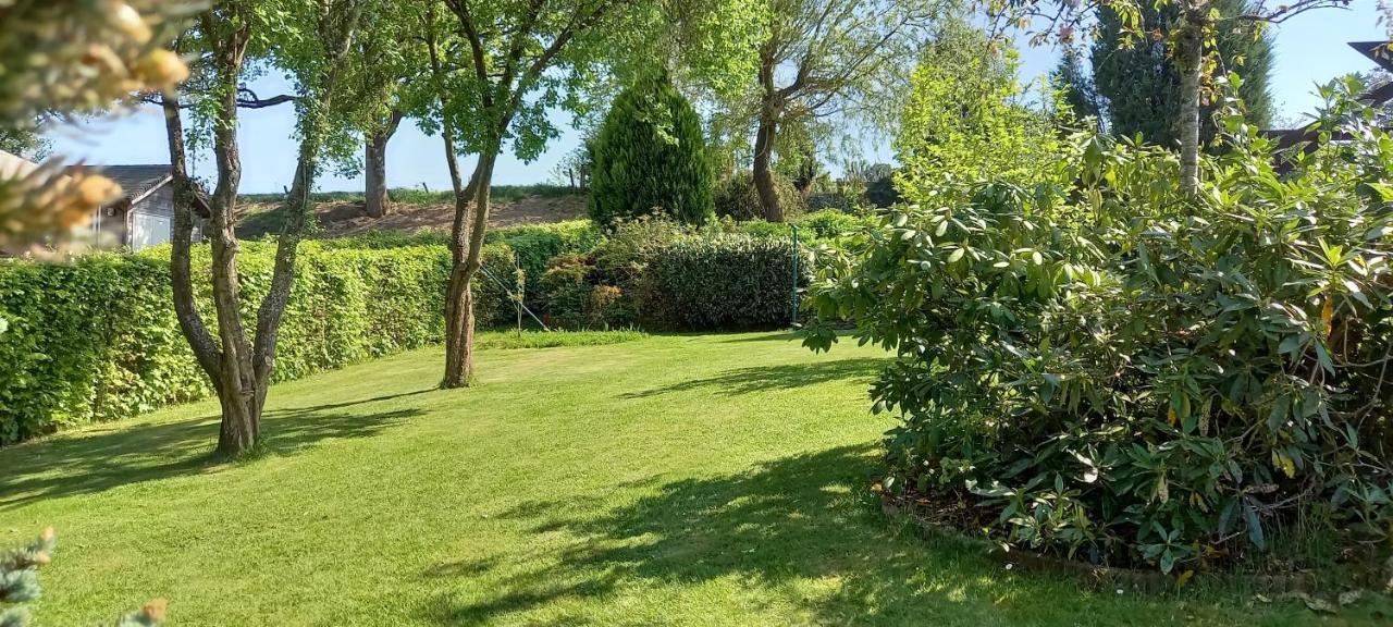 Gite Les Sittelles Tenneville Exteriör bild