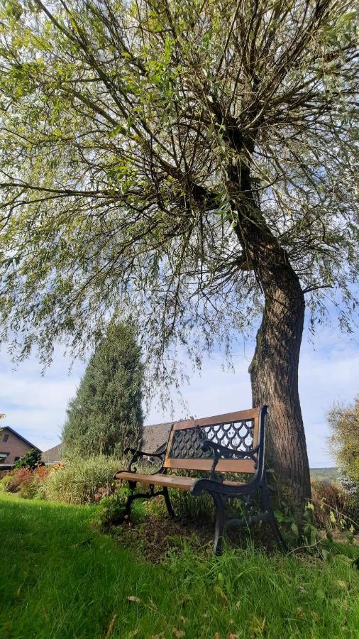 Gite Les Sittelles Tenneville Exteriör bild