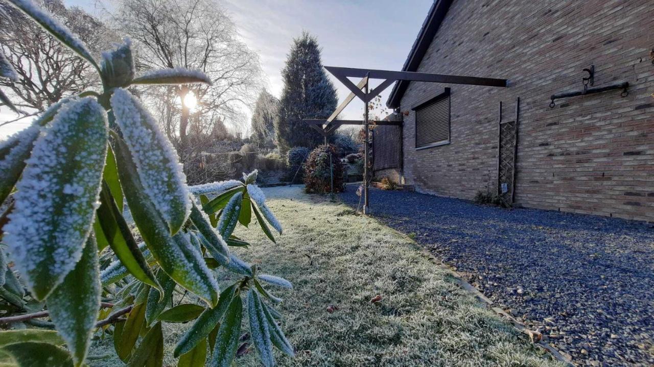 Gite Les Sittelles Tenneville Exteriör bild