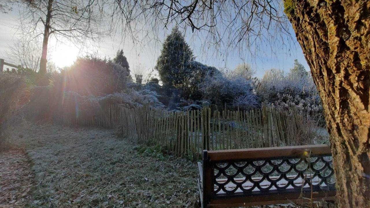 Gite Les Sittelles Tenneville Exteriör bild